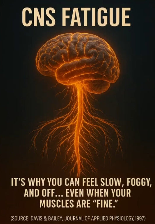 Central Nervous System Fatigue KO'd The Champion